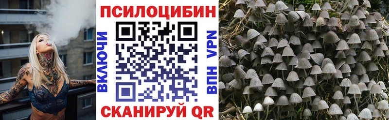 Псилоцибиновые грибы мицелий  Купить  Кизел 