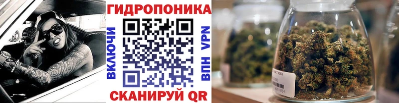 Шишки марихуана THC 21%  Купить где  Кизел 